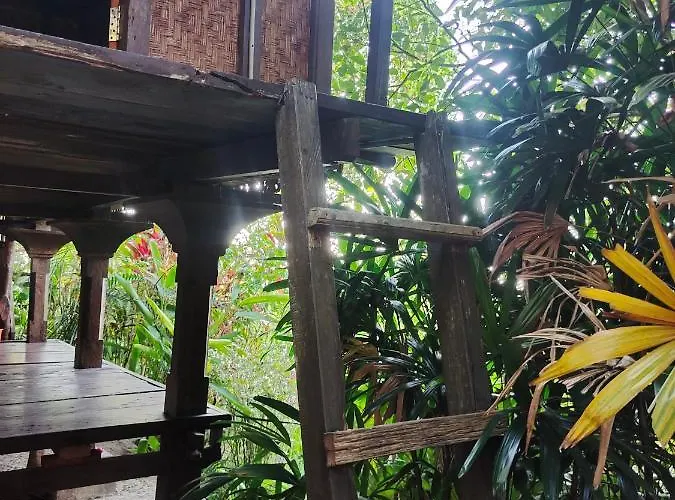 招待所 Clove Garden Gitgit